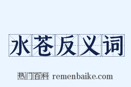 水苍反义词是什么意思的图片